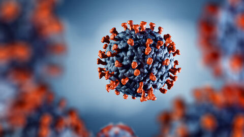 Corona-Virus Corona-Virus