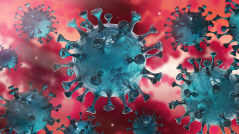 Corona Virus Corona Virus im Inneren des Körpers