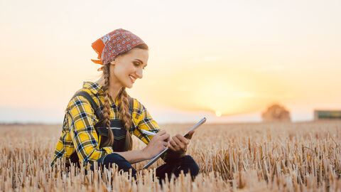 Landwirtin sitzt im Feld und macht Notizen Landwirtin sitzt im Feld und macht Notizen
