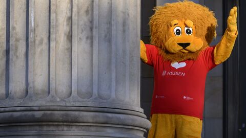 HessenLöwe Ein großer Plüschlöwe steht hinter einer Säule